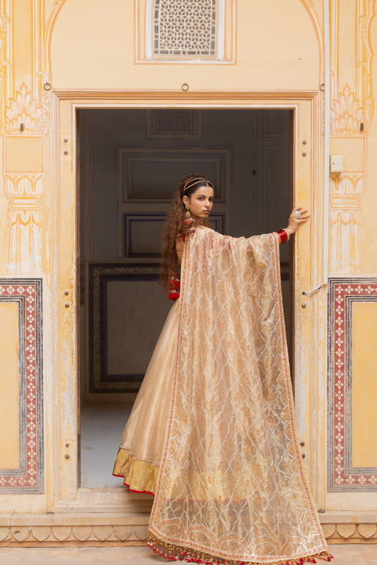 Hritika Lehenga Set