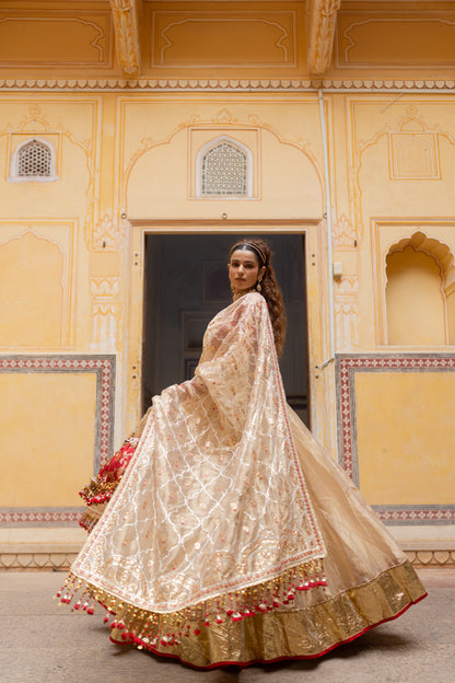 Hritika Dupatta - Anjanase