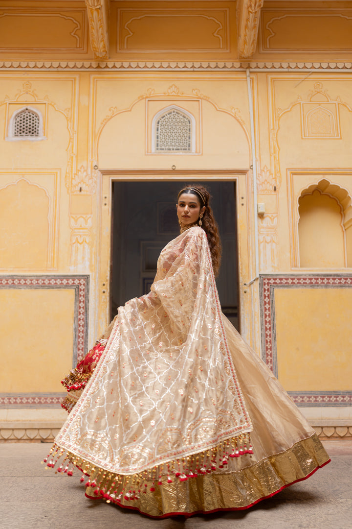Hritika Lehenga Set