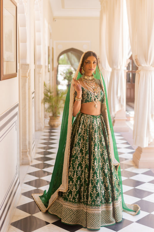 Pashmina Lehenga Set