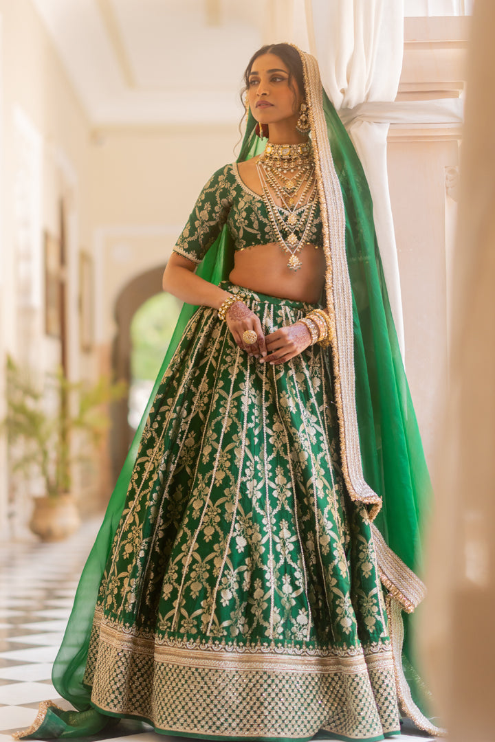 Pashmina Lehenga Set