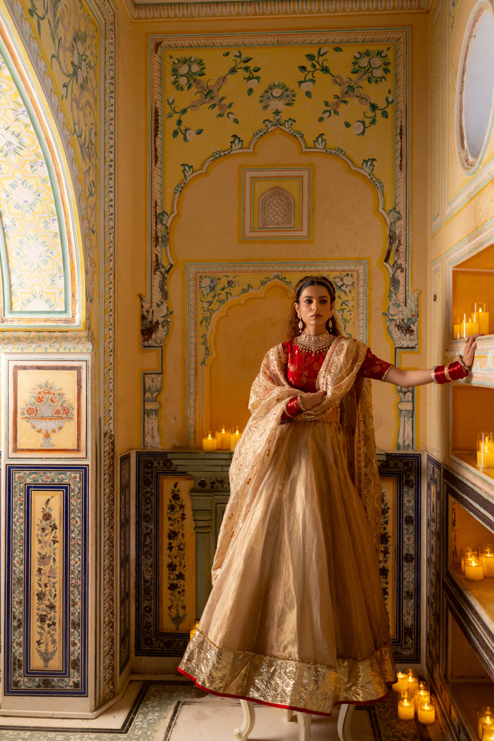 Hritika Lehenga Set