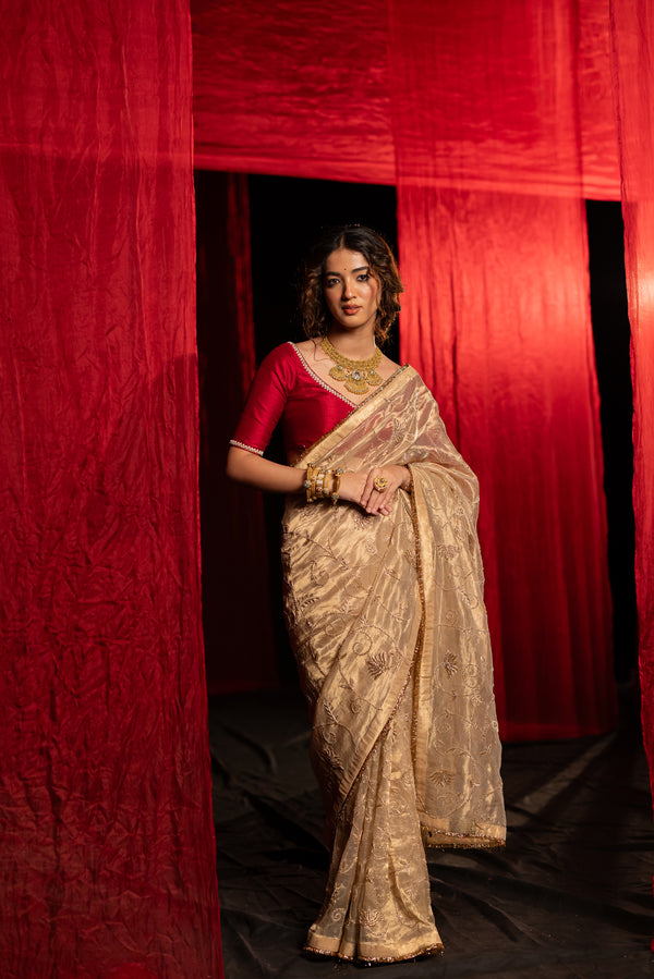 Tissue saree