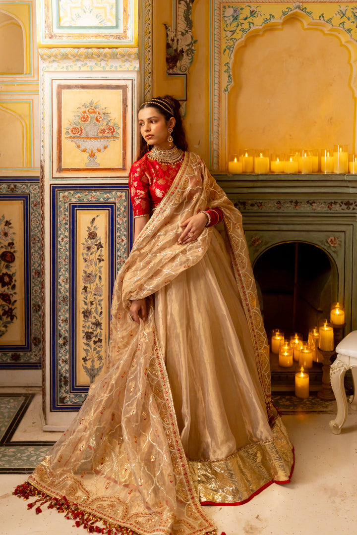 Hritika Dupatta - Anjanase