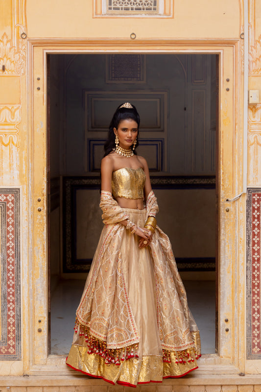 Midas Lehenga Set