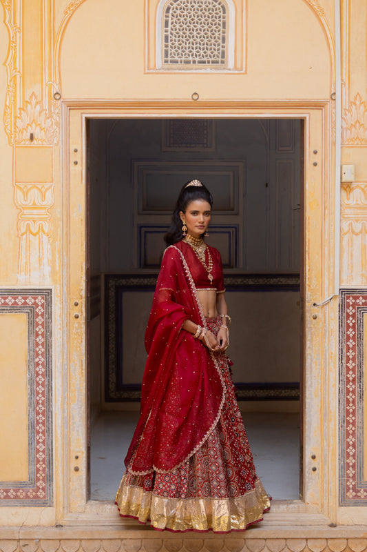 Arishi Lehenga Set