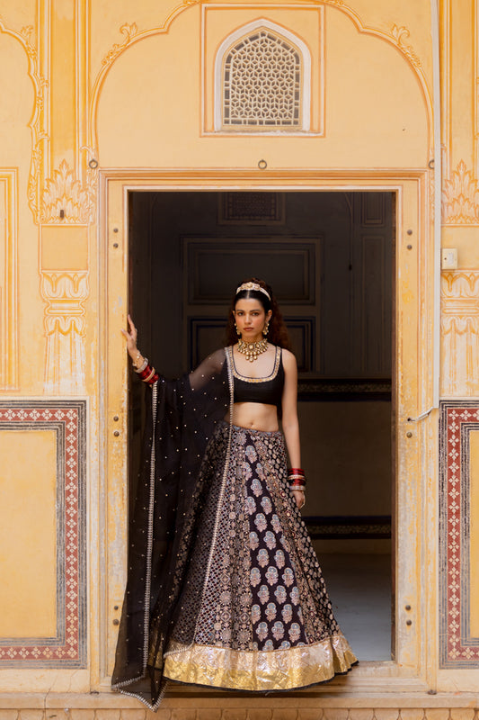 Barkha Lehenga Set