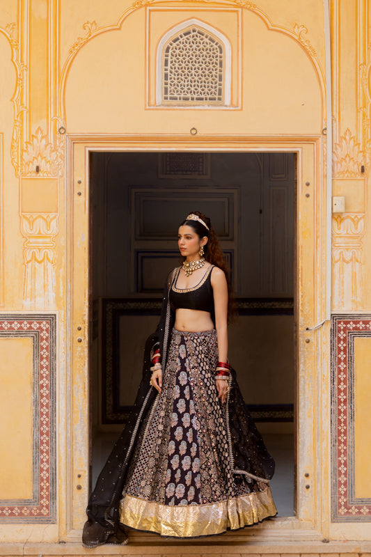 Barkha Lehenga Set