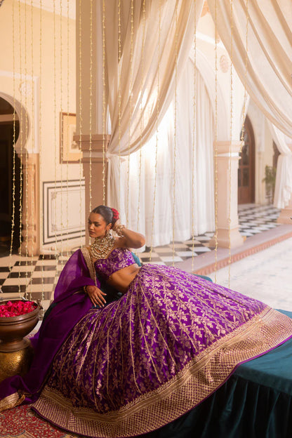 Pashmina Lehenga Set