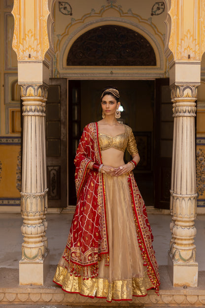 Aarika Dupatta - Anjanase