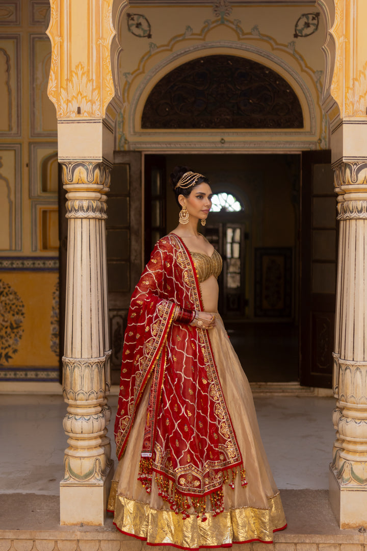 Aarika Dupatta - Anjanase