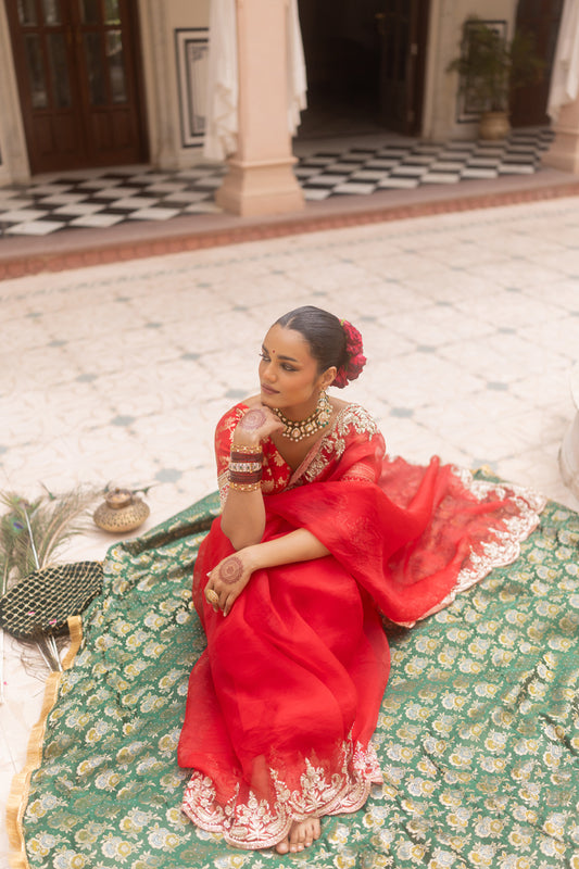 Jhalak Saree