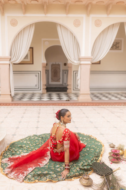 Jhalak Saree