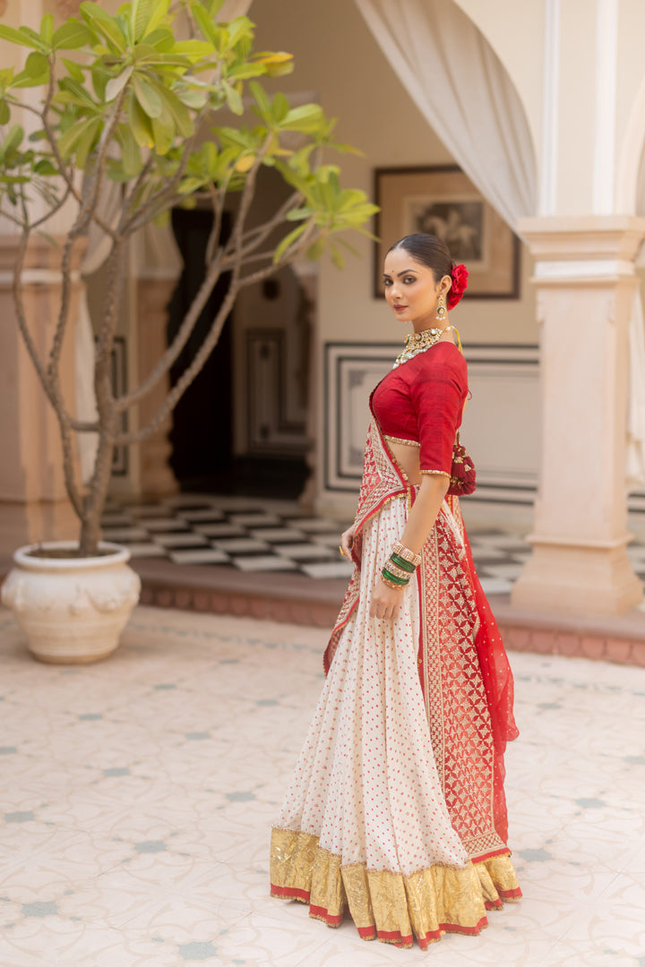 Mohini Lehenga Set