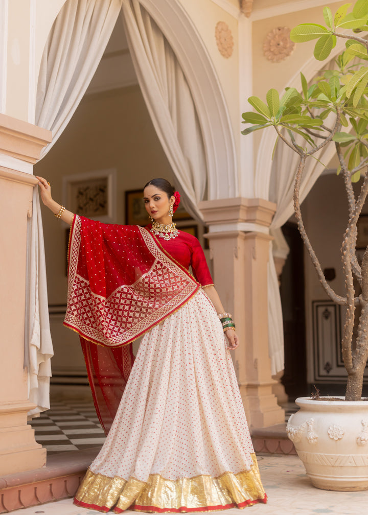 Mohini Lehenga Set