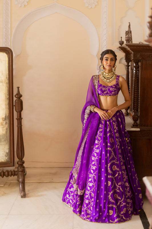 Vibhuti Lehenga Set