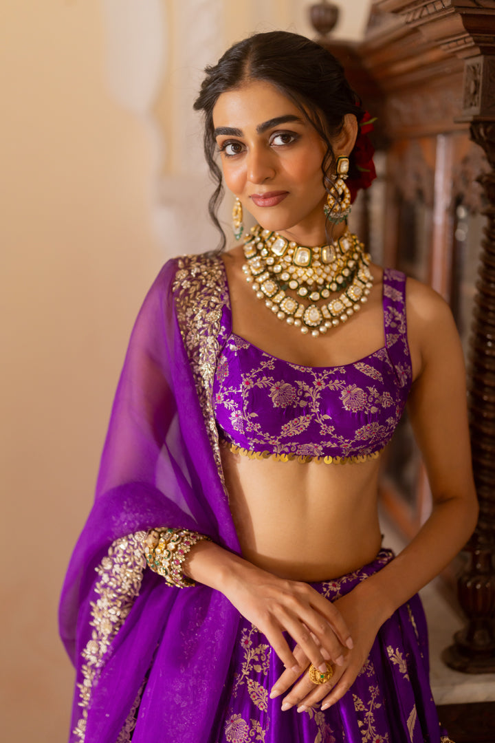 Vibhuti Lehenga Set