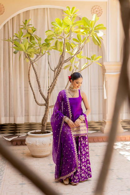 Vishwa Sharara Set