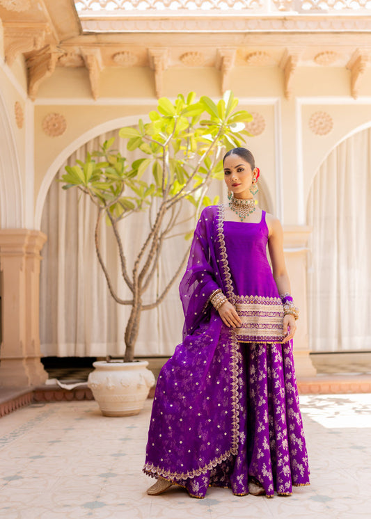 Vishwa Sharara Set