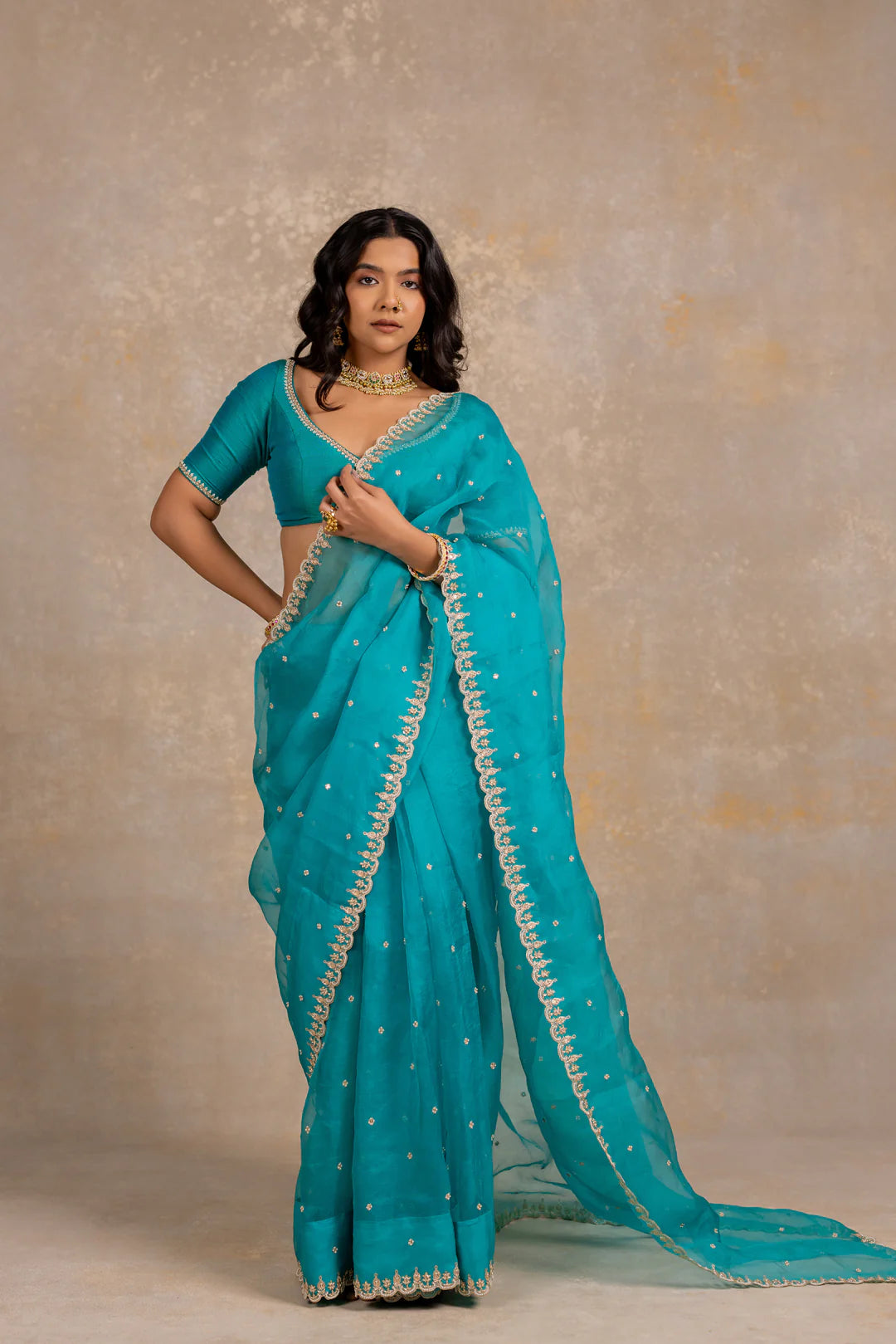 Damini Saree