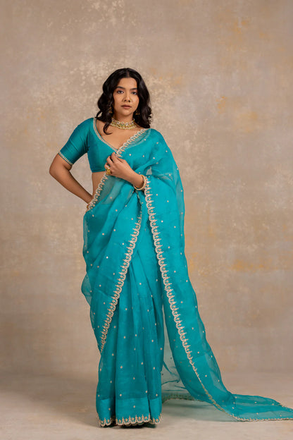 Damini Saree