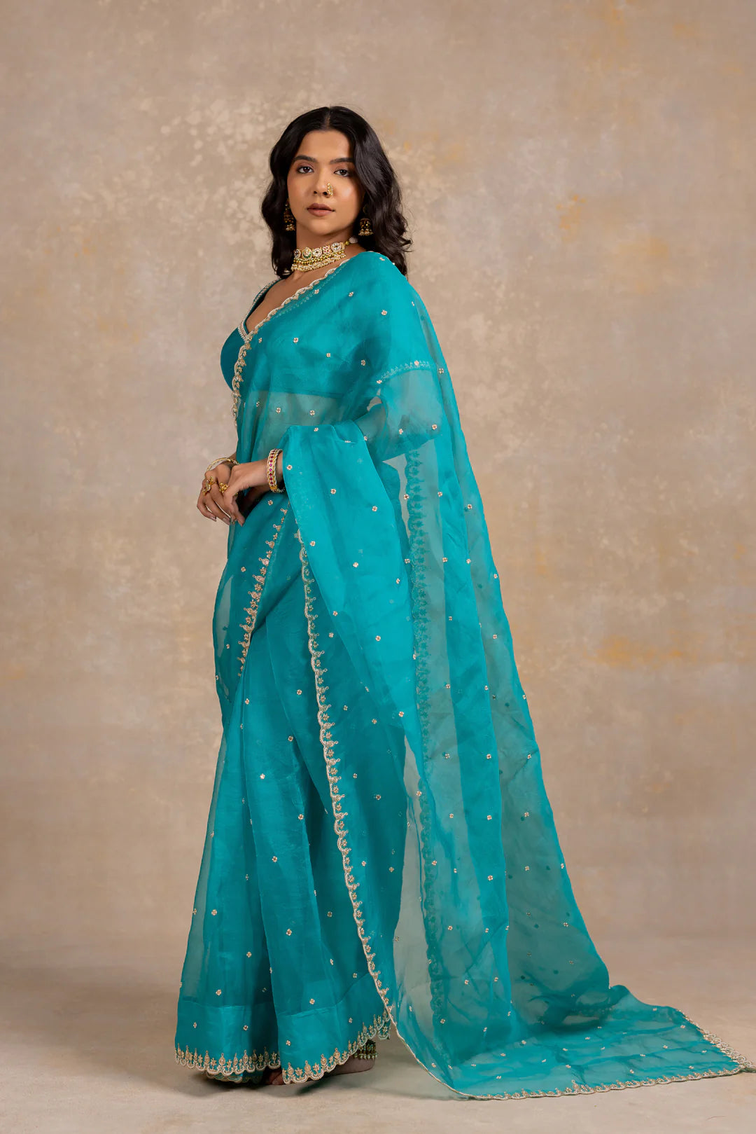 Damini Saree