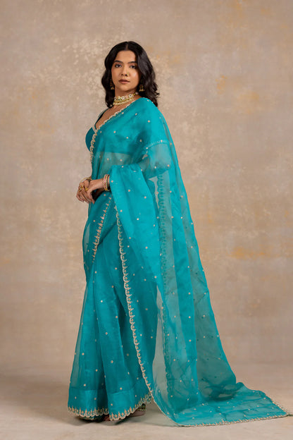 Damini Saree