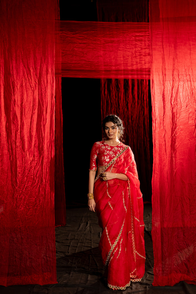 organza saree
