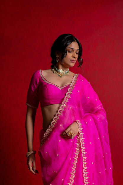 Damini Saree