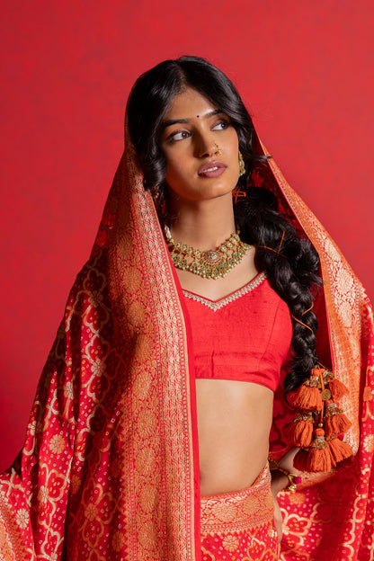 Aashvi Saree