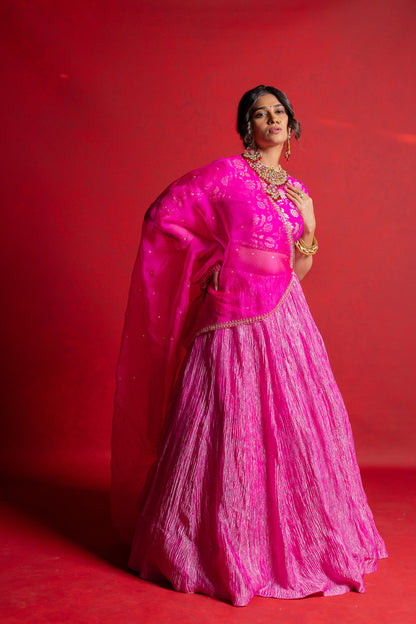 Aarna Lehenga Set