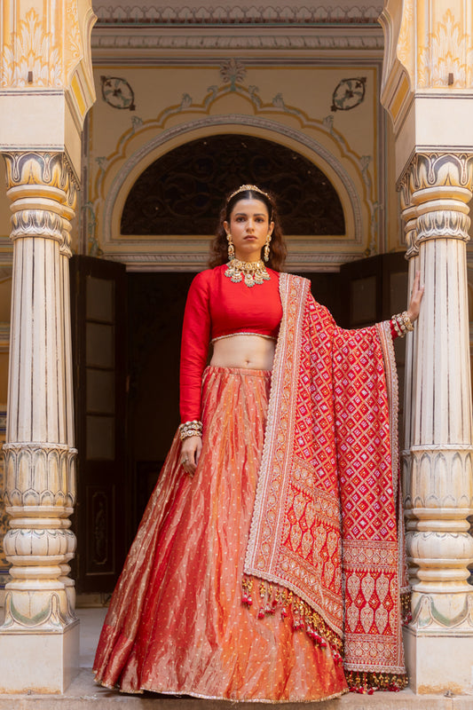 Raswa Lehenga Set