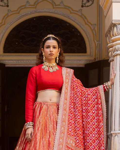 Padmavati Blouse