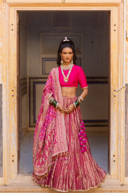 Satrani Lehenga Set
