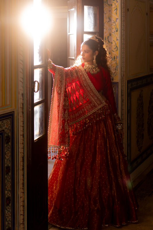 Raswa Lehenga Set