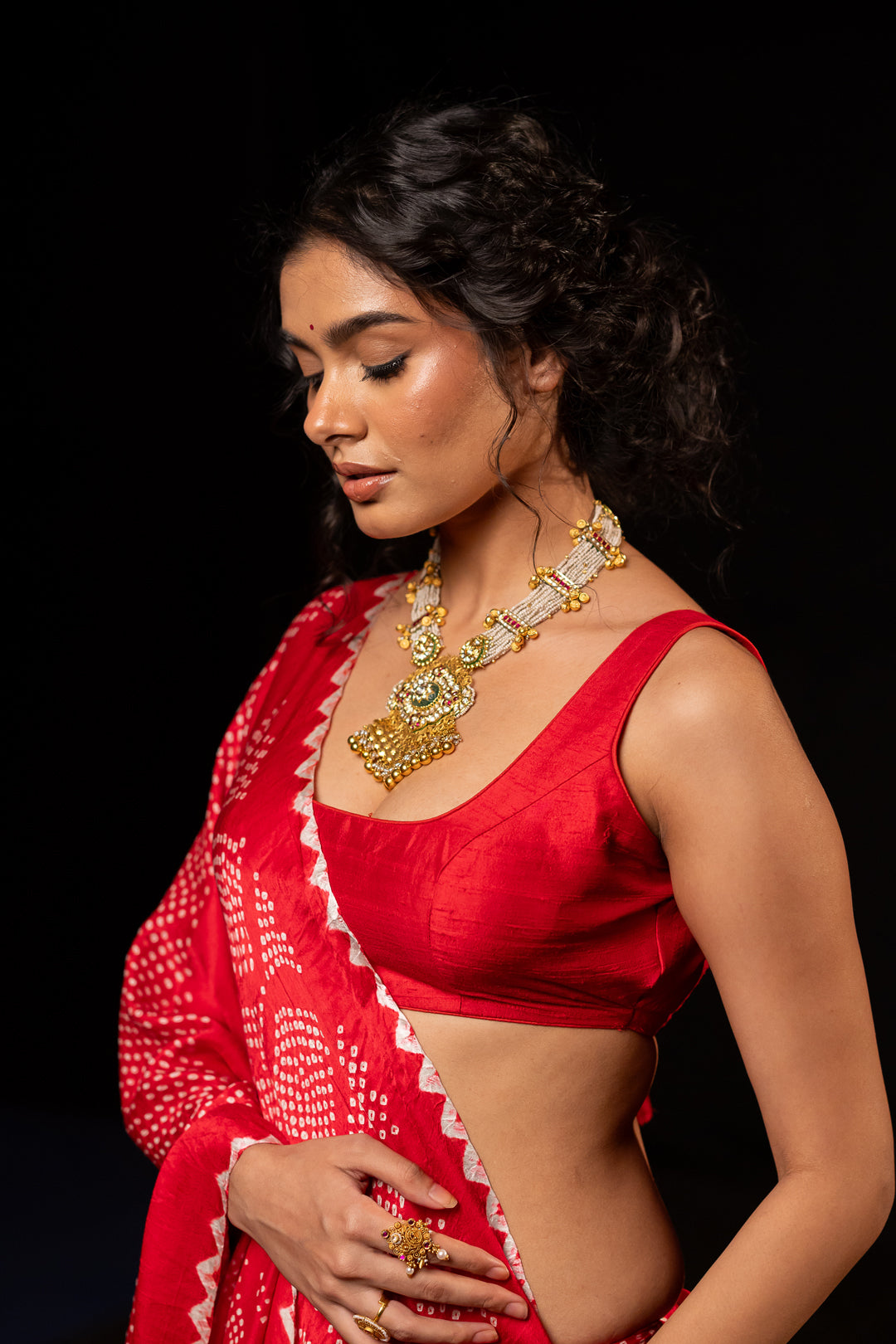 Chitralekha Saree