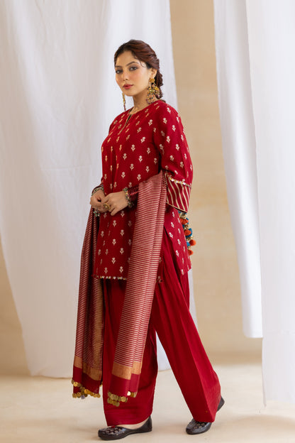 Noor Kurta Set