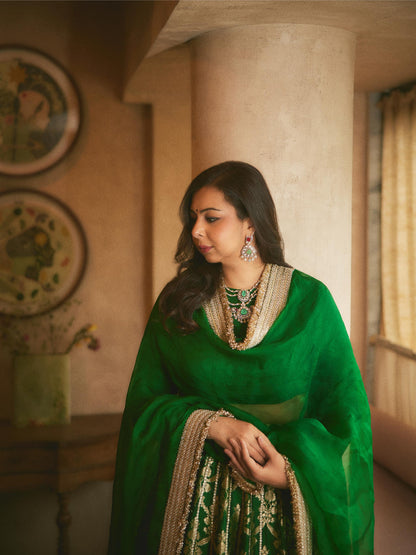 Karishma karamchadani - Pashmina Lehenga Set
