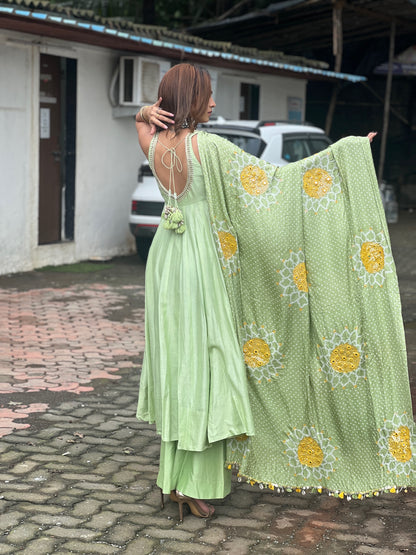Fenil Urmigar Anarkali Set