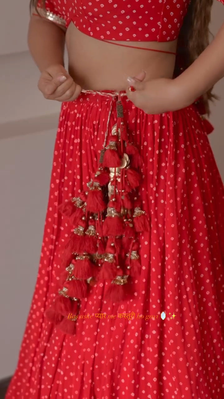 Radhika Bhardwaj Lehenga Set