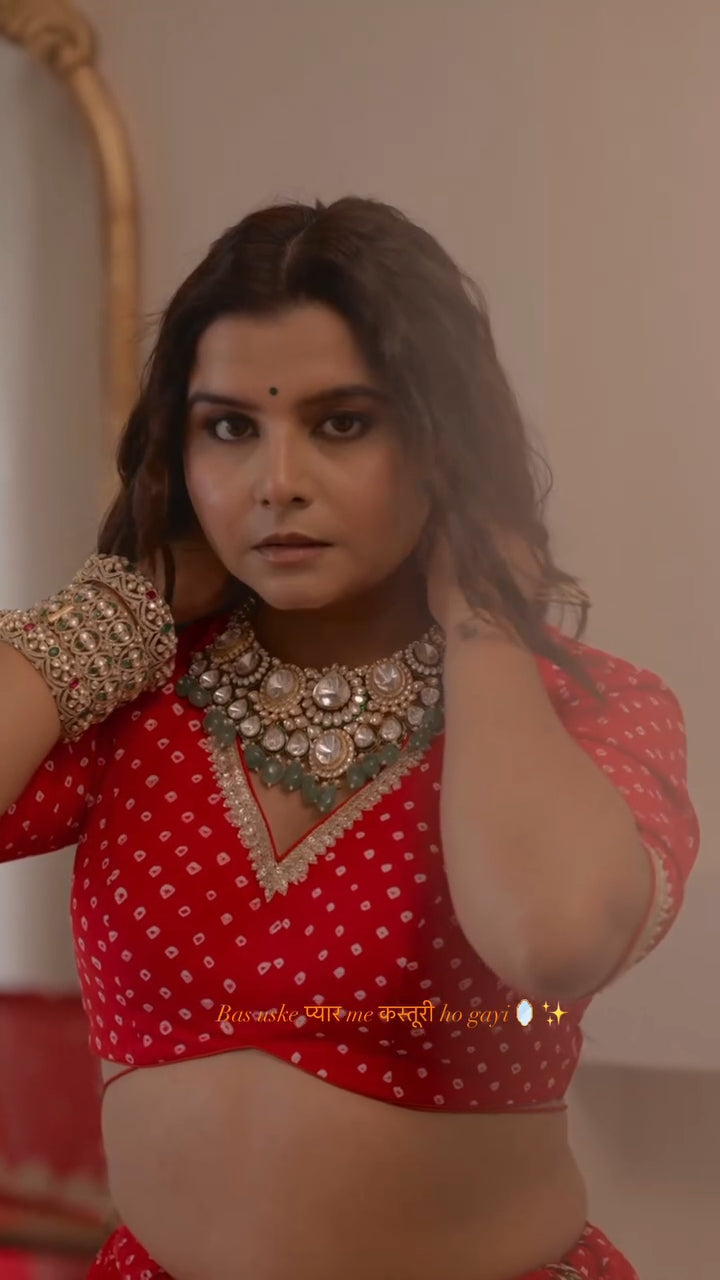 Radhika Bhardwaj Lehenga Set