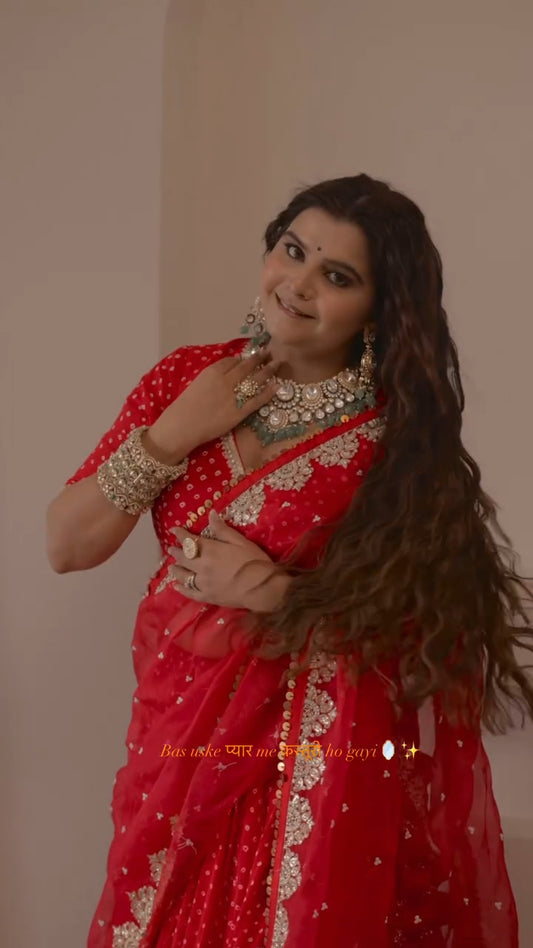Radhika Bhardwaj Lehenga Set