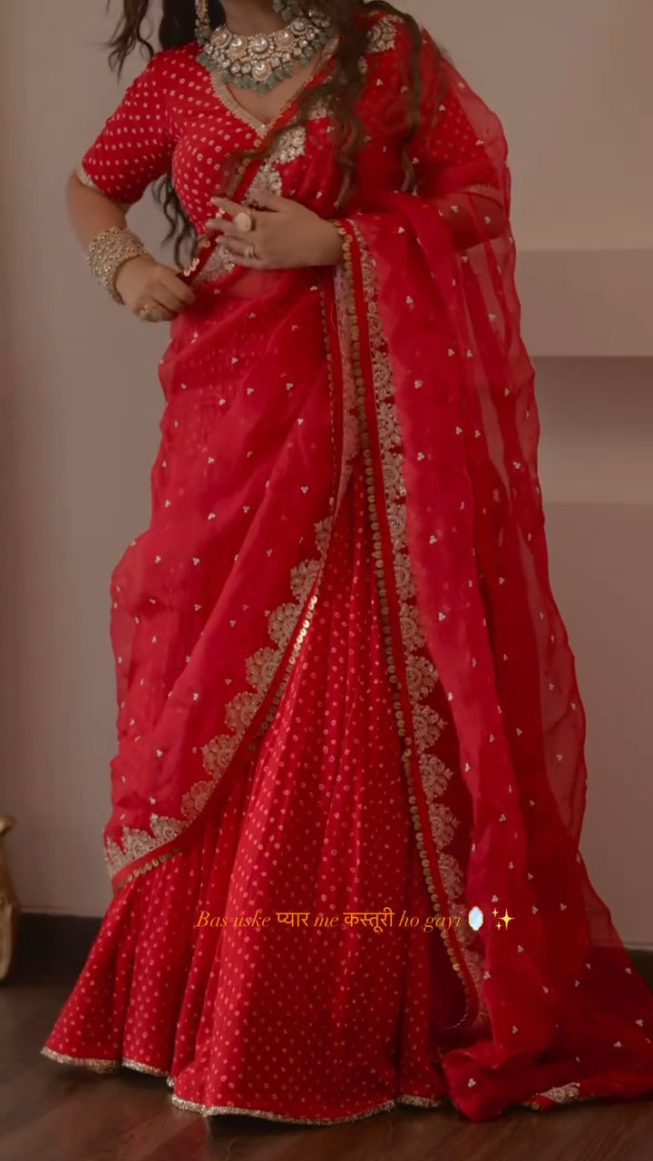Radhika Bhardwaj Lehenga Set