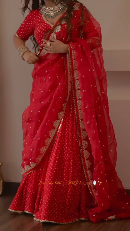 Radhika Bhardwaj Lehenga Set