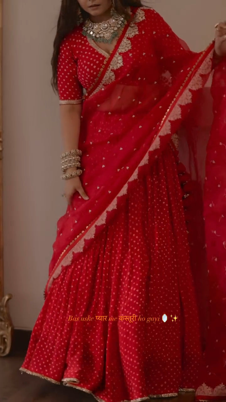 Radhika Bhardwaj Lehenga Set