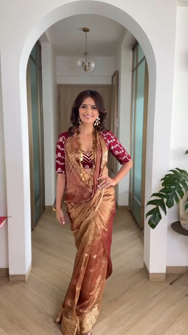 Roshni Chopra Saree