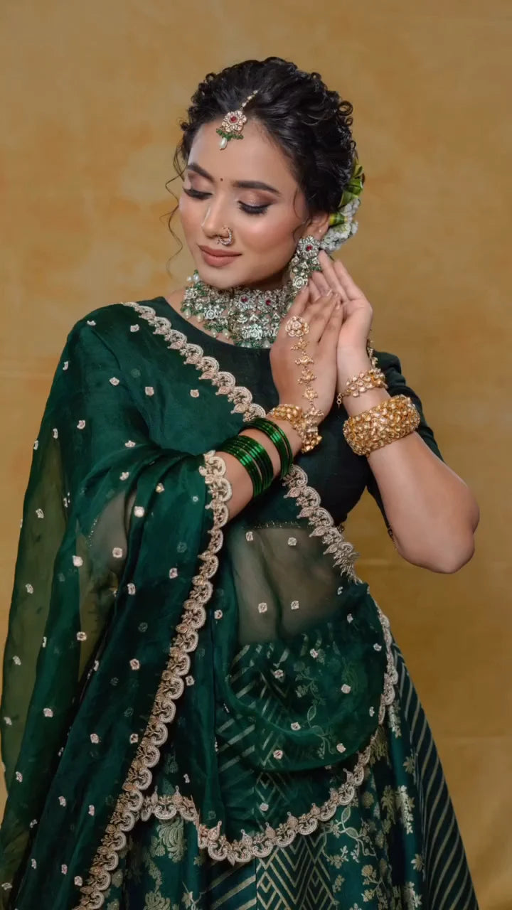 Hansika Lehenga Set