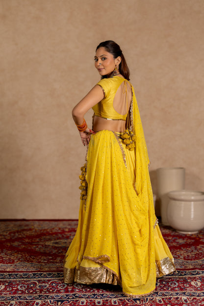 Jhamku Lehenga Set