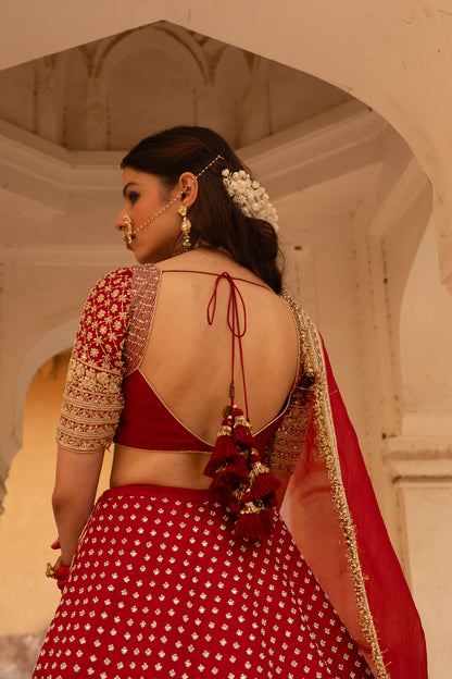 Panna bai Blouse