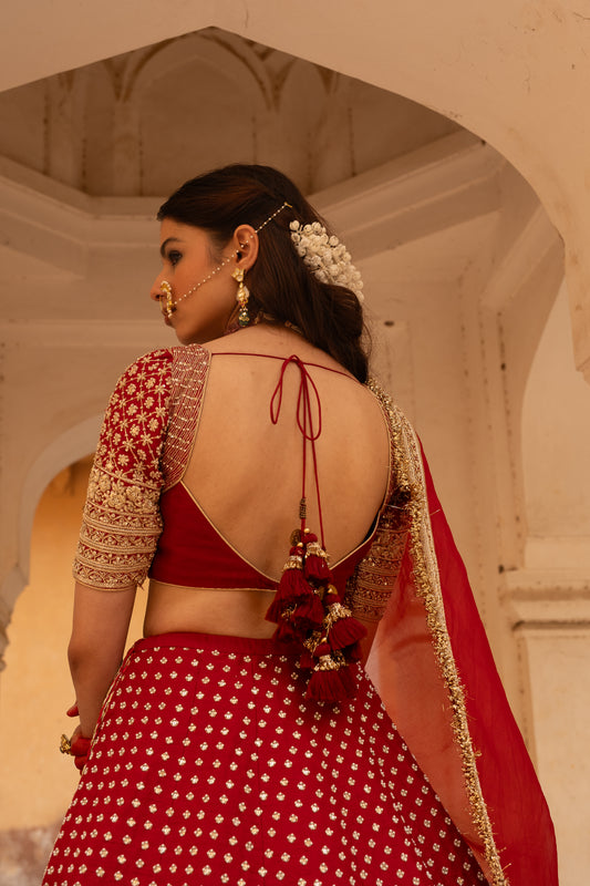 Panna bai Blouse